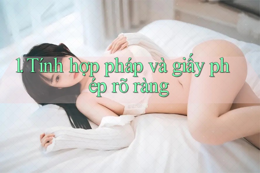 1. Tính hợp pháp và giấy phép rõ ràng